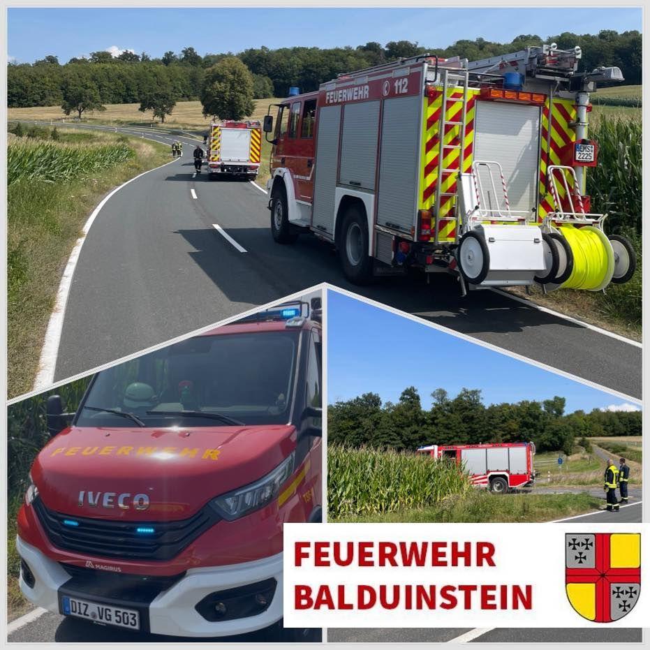 Einsatz 8-2025 - Flächenbrand in Eppenrod
